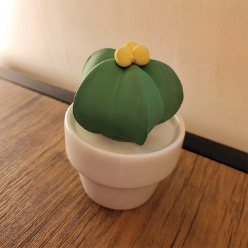 迷你星仙人掌陶瓷香薰機