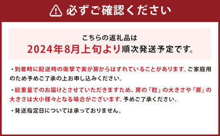 ご家庭用 旬のぶどう食べ比べ 完熟巨峰 シャインマスカット 詰め合わせ 計5パック 約1.5kg 