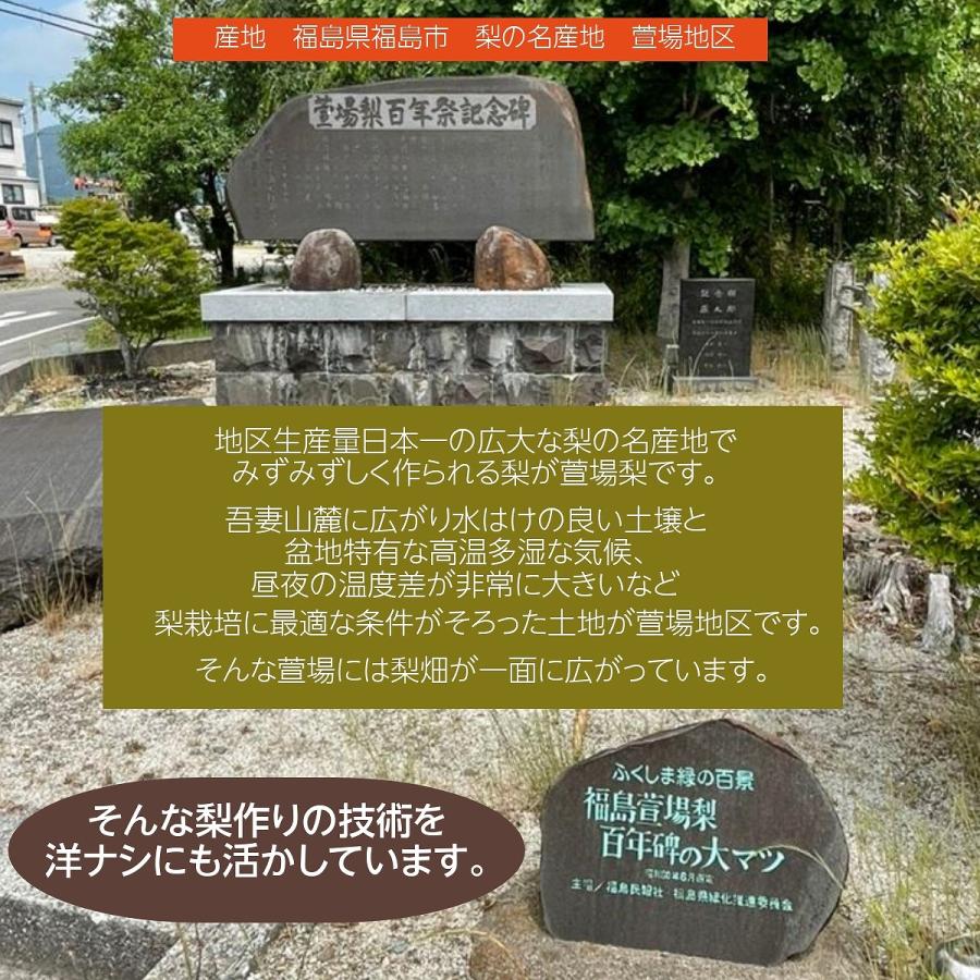 洋梨  洋ナシ 2種類入り 2.5kg 4〜12個 ご家庭用 訳あり 福島県 洋なし 《10 下旬〜11 上旬より出荷》