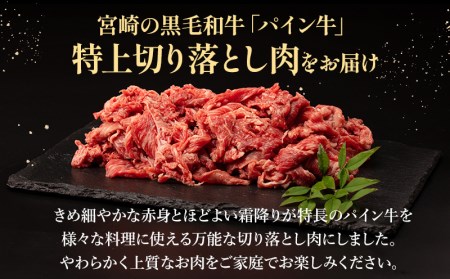 宮崎県産黒毛和牛パイン牛特上切り落とし肉 (肩・肩ロース) 計1kg (500g×2)