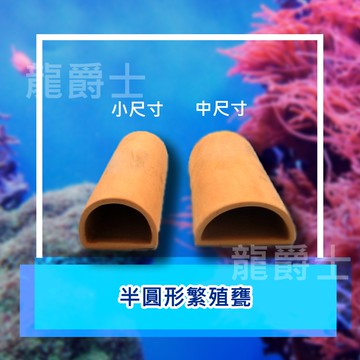 ✨現貨✨[龍爵士水族]半圓形繁殖甕 裝飾品 造景 擺飾 飾品 擺件 魚缸造景 魚缸擺飾 魚躲藏 Z15