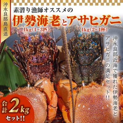 ふるさと納税 和泊町 沖永良部島直送!素潜り漁師オススメの伊勢海老1キロ(1〜3匹)とアサヒガニ1キロ(2〜4杯)セット