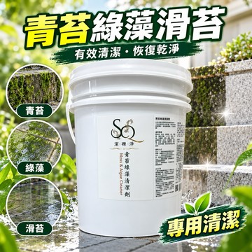 潔礫淨-青苔去除劑20L【✅免運、開統編】「清除青苔、藻類、蚊蟲棲息地滑苔、水泥地苔蘚」社區｜清潔公司（大容量省用）