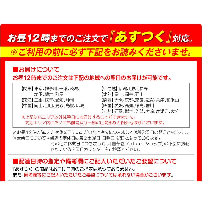 防草シート ピン シート押さえ 亜鉛メッキシート押さえ ワッシャー付 200組 固定 押さえピン マルチ 黒丸付き Uピン杭 15cm 国華園