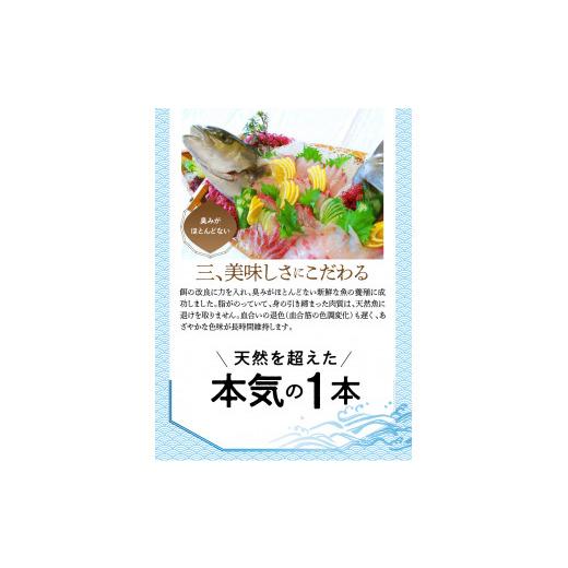 ふるさと納税 宮崎県 延岡市 大和カンパチの切り身 約600g　N072-ZA154