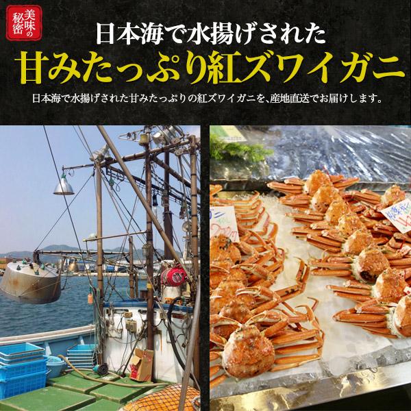 紅ずわい蟹 姿 3〜4杯（合計1.2kg前後）茹で ボイル A級品 訳あり 紅ズワイガニ 境港直送 国産 未冷凍 ギフト