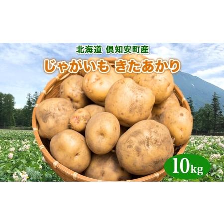 ふるさと納税 北海道産 じゃがいも きたあかり 約10kg 芋 ジャガイモ いも 自然 旬 新鮮 野菜 直送 常温 農作物 お取り寄せ 野菜 ポテト 農作.. 北海道倶知安町