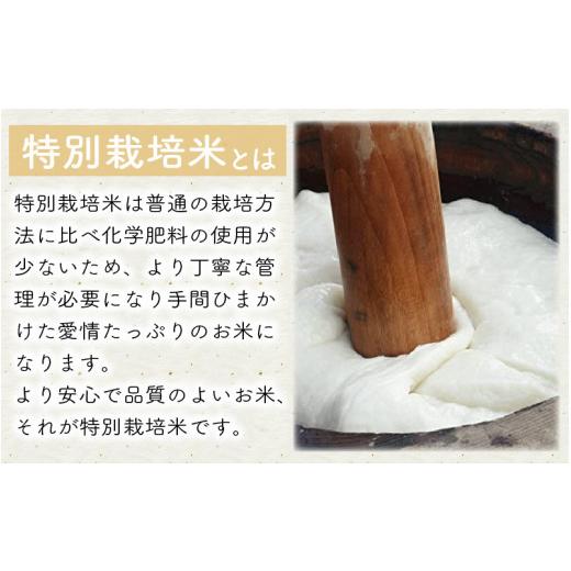 ふるさと納税 福井県 坂井市 たんちょう杵つき餅セット 『つどい』 計40個 〜幻のもち米100％使用〜 [A-2934]