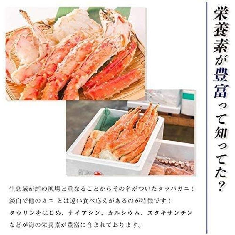 タラバガニ 大型 姿 3.6kg?4kg お中元 水産物応援商品 たらばがに たらば蟹 特大ボイル 冷凍 北海道・ロシア産 お取り寄せ 海鮮