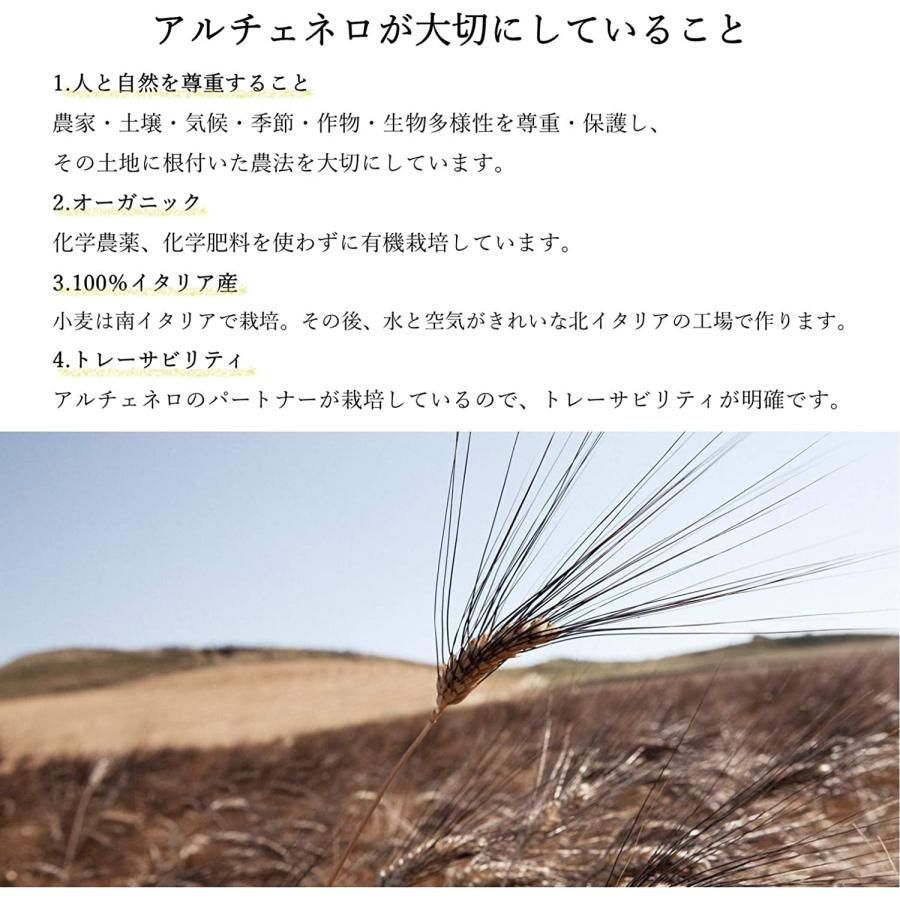 アルチェネロ 有機グルテンフリーペンネ 250g×６袋。有機とうもろこし粉・米粉使用.