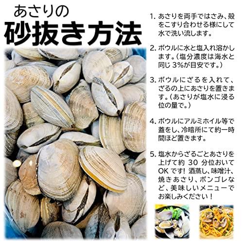 kakiya 北海道産 活あさり 1kg 大粒 1個20〜30g 国産 あさり 天然あさり 活あさり 浅利 味噌汁 焼きアサリ 酒蒸し ボンゴレ