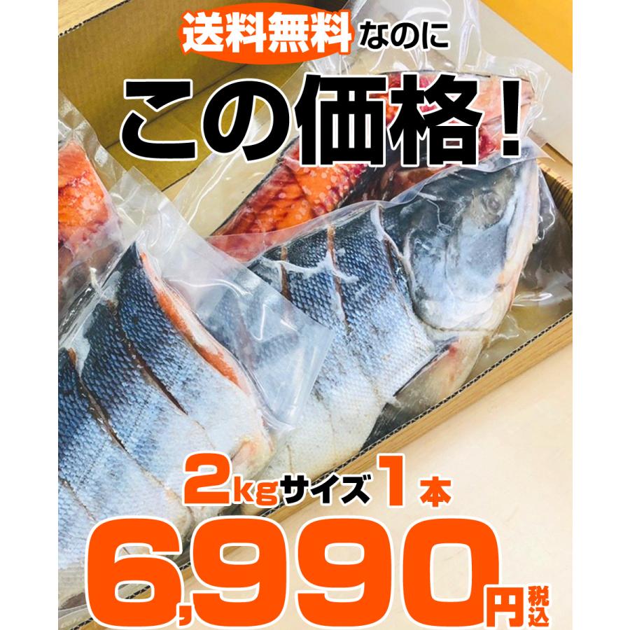 切身加工 真空パック 新巻鮭 2kg 1本 送料0円 新物 塩漬け 塩鮭 姿 鮭 北海道 北海道産 しゃけ サケ さけ お正月 年末年始 お歳暮