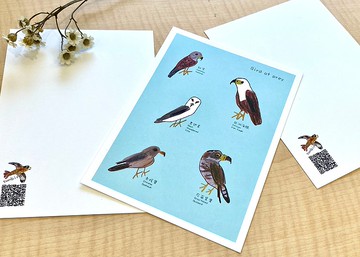 童趣插畫 Bird of prey 猛禽 明信片