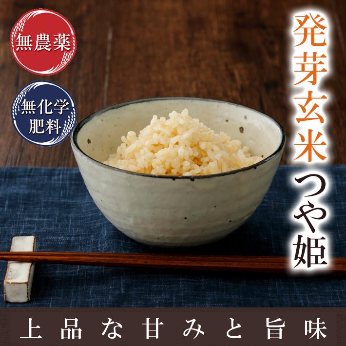 発芽玄米 無農薬 3Kg つや姫 宮城令和5年産 特別栽培米 真空パック