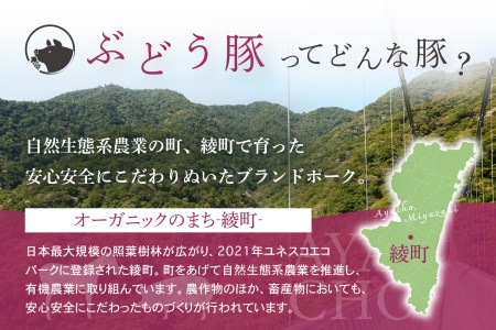 国産 豚肉 ブランド 豚 綾ぶどう豚 お楽しみ セット 食べつくし 詰め合わせ バラエティー ロース とんかつ 肩ロース 生姜焼き バラ 焼肉 もも スライス 小間切れ 調理 日時 指定 可能（22-34）