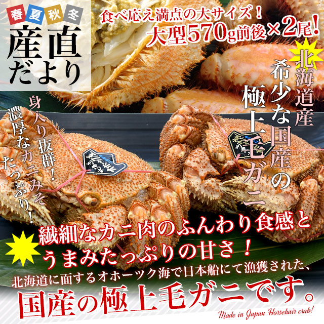 北海道より直送 北海道産 「浜ゆで 毛ガニ」大型570g前後×2尾入　送料無料　かに カニ 毛ガニ 毛がに 毛蟹 ギフト