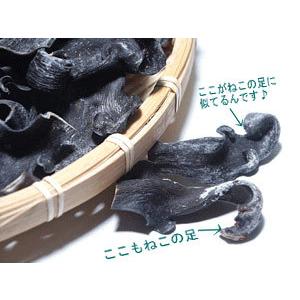 よく粘るなっとこんぶ 55g×3袋  漬け物や煮物に最適な細切り猫足コンブ