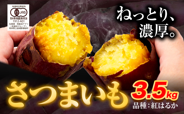 さつまいも 紅はるか 3.5kg 創成アグリ《10月末-1月末頃より順次出荷》熊本県 御船町 野菜 芋 さつま いも 焼き芋 有機JAS規格 送料無料---sm_agrimo_ec101_23_9000_3500g---