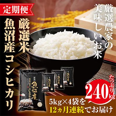 ふるさと納税 魚沼市 旨い飯におかずはいらない精米20kg全12回