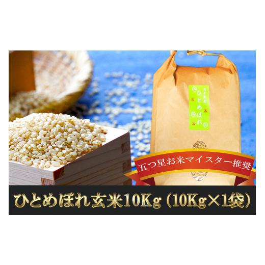 ふるさと納税 岩手県 盛岡市 盛岡市産ひとめぼれ玄米 10kg