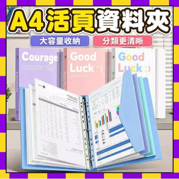 💛台灣發貨💛活頁文件夾 文件收納夾 A4 文件夾 活頁夾 插頁透明資料冊 資料袋 試捲夾 文件收納 資料包 收納夾