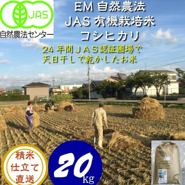 令和5年産 新米 無農薬  有機米 天日干し こしひかり食用玄米 20kg  天地の誉  EM 農法 JAS  オーガニックお米