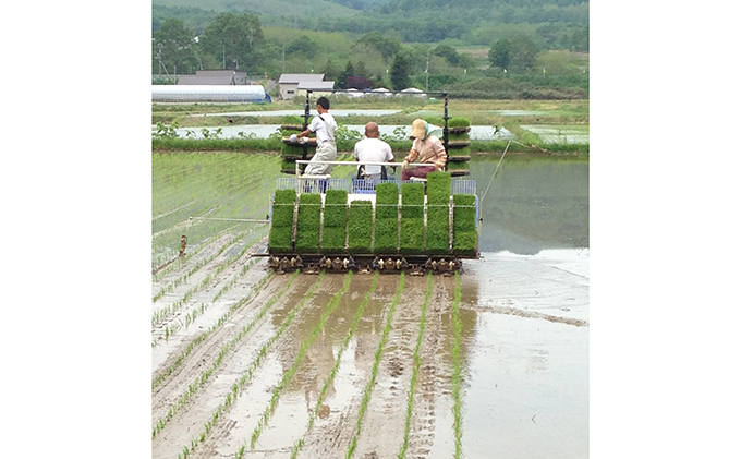 仁木町「ゆめぴりか」定期便（毎月5kg発送 全3回）