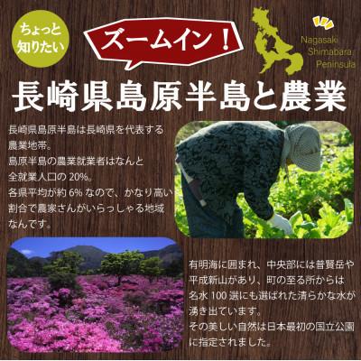 ふるさと納税 南島原市 旬な野菜を出荷します!おまかせ新鮮野菜15種類セット