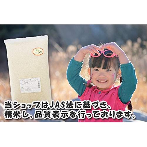 岐阜県産 ハツシモ 玄米 分づき精米無料 令和4年産 (玄米のまま, 10kg)