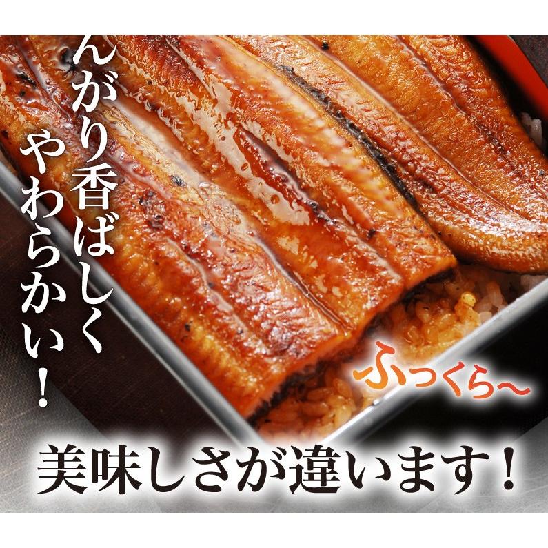 ポイント5倍 母の日 プレゼント グルメ うなぎ 鹿児島産 ブランド鰻 超特大蒲焼き2本 ギフトBOX お洒落な専用ギフトBOXでお届け クール