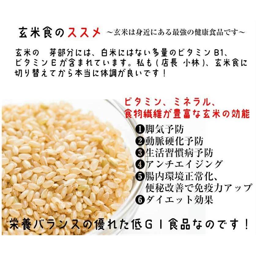 送料無料　令和5年産 新米 千葉県産ふさこがね 玄米30kg (10kg×3袋) 精米無料