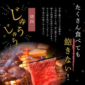 ふるさと納税 牛肉 焼肉 用  肩ロース 500g 群馬県 産 千代田町 群馬県千代田町