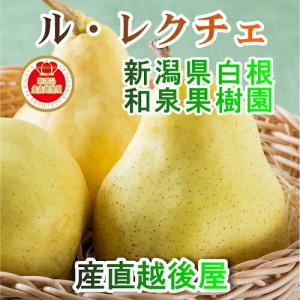  新潟県白根 梨栽培農家 和泉果樹園 有機質肥料栽培 ルレクチェ 4kg(10個～14個） 化粧箱入