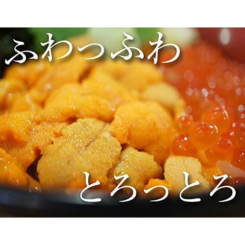 冷凍生うに ミョウバン不使用 100g うに丼約2杯分 ウニ 雲丹