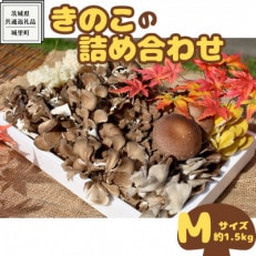 きのこの詰め合わせ　Mサイズ(約1.5kg)(茨城県共通返礼品:城里町)