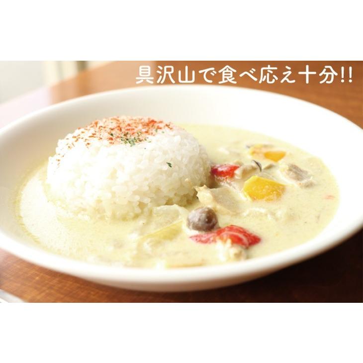 グリーンカレー 6パックセット レトルト GREEN CURRY 冷凍 洋食 6人前 おうちご飯 アジアご飯 