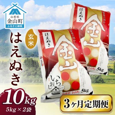 ふるさと納税 金山町 2023年産米 定期便 金山産米 はえぬき(5kg×2袋)×3ヶ月 定期便F4B-0360