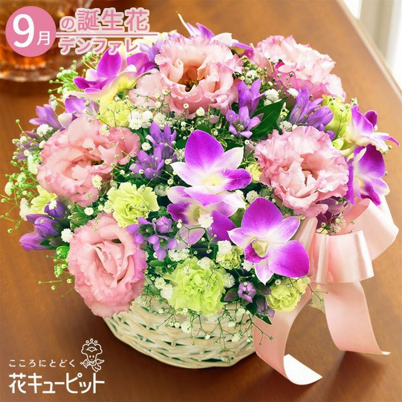 9月の誕生花 デンファレ ギフト 誕生日 プレゼント お祝い 女性男性 花キューピットの秋のピンクバスケット 通販 Lineポイント最大0 5 Get Lineショッピング