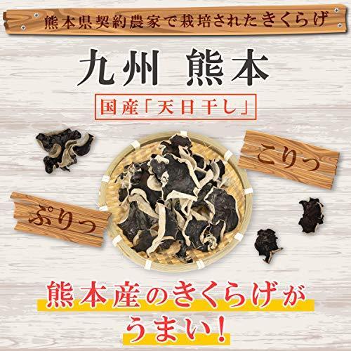 e-hiroya 九州産 熊本県産 乾燥きくらげ 100g 業務用 チャック袋入