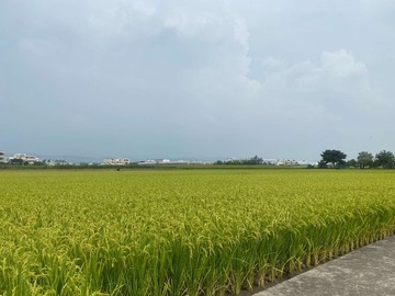 ☀️鉅仲代書☀️彰化國道3號大面寬節稅農地｜彰化縣芬園鄉嘉興段