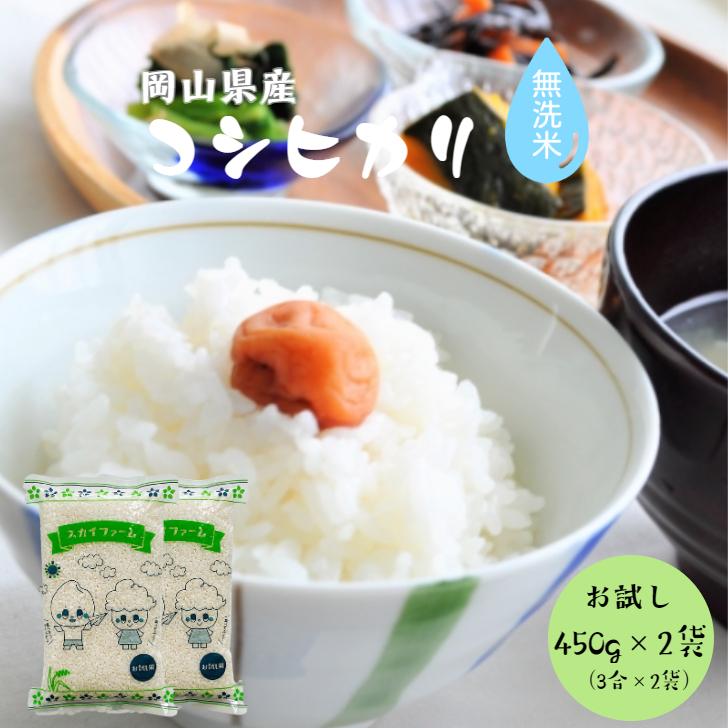 新米 令和5年産 岡山県産コシヒカリ 無洗米 450g(3合)×2袋 ポイント消化 白米 食品 お試しセット 1kg以下 メール便 国産 送料無料