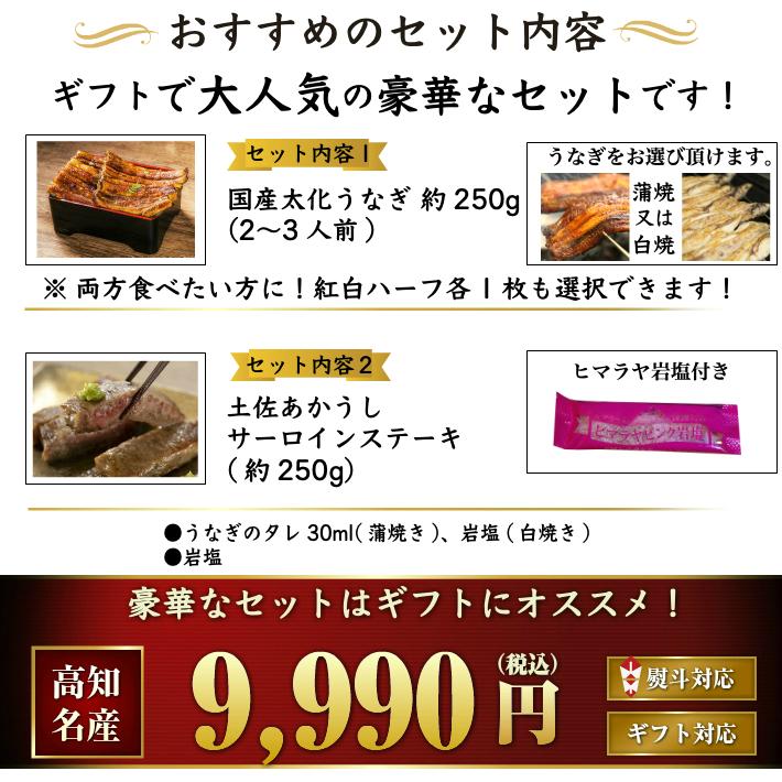 国産 特大うなぎ 土佐あかうし (サーロインステーキ)のセット 選べる鰻 ギフト