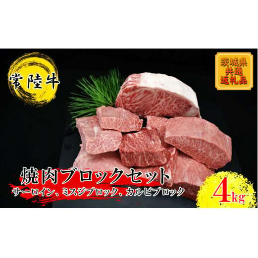 焼肉ブロックセット（合計 4kg）（茨城県共通返礼品）