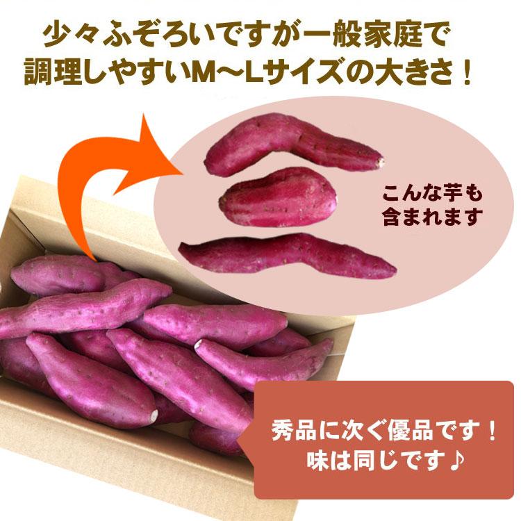 さつまいも なると金時 3kg ふぞろい 送料無料  徳島県鳴門市産 サツマイモ 鳴門金時 野菜