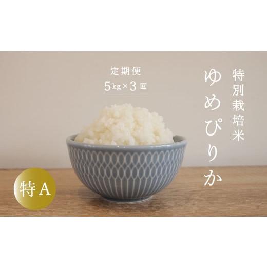 ふるさと納税 北海道 当麻町 特別栽培米ゆめぴりか 5kg×3回 舟山農産
