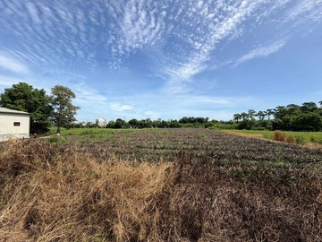 新化方正美農地 近國三國八/19甲線-A｜台南市新化區新化段王公廟小段