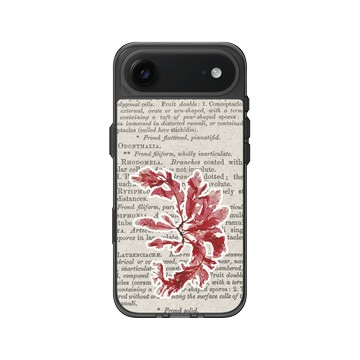 iPhone Air Clear (相機按鈕) 酷墨灰 - The Seaweed Studio - 海藻標本集