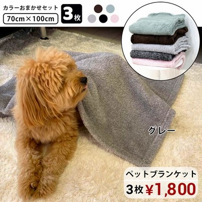 安心の実績 高価 買取 強化中 ブランケット ペット用 毛布 ふわふわ 洗える 防寒 落ち着いた色 70x100cm グリーン tepsa.com.pe 安心の実績 高価 買取 強化中 ブランケット ペット用 毛布 ふわふわ 洗える 防寒 落ち着いた色 70x100cm グリーン tepsa.com.pe