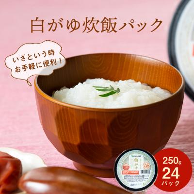 ふるさと納税 東松島市 JAいしのまき米 白がゆ炊飯パック 24パック入り レトルト お米 米 東松島 宮城県 おかゆ お粥