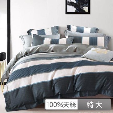 【貝兒居家生活館】100%天絲四件式兩用被床包組 (特大雙人/仙德瑞拉)